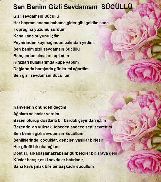 Sibel Gökmen Katrancı