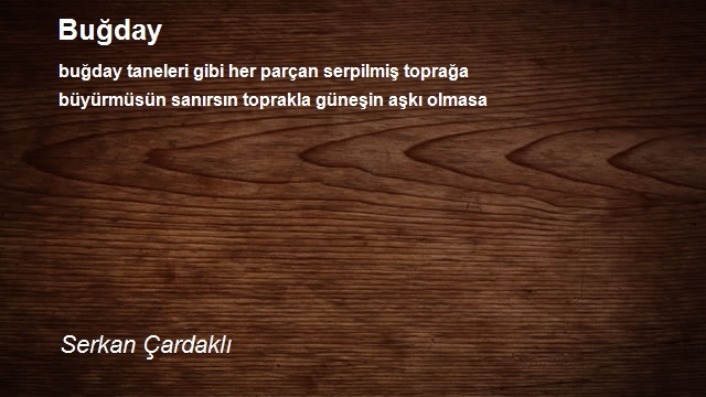 Serkan Çardaklı