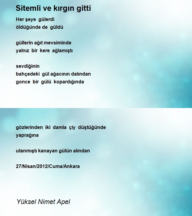 Yüksel Nimet Apel