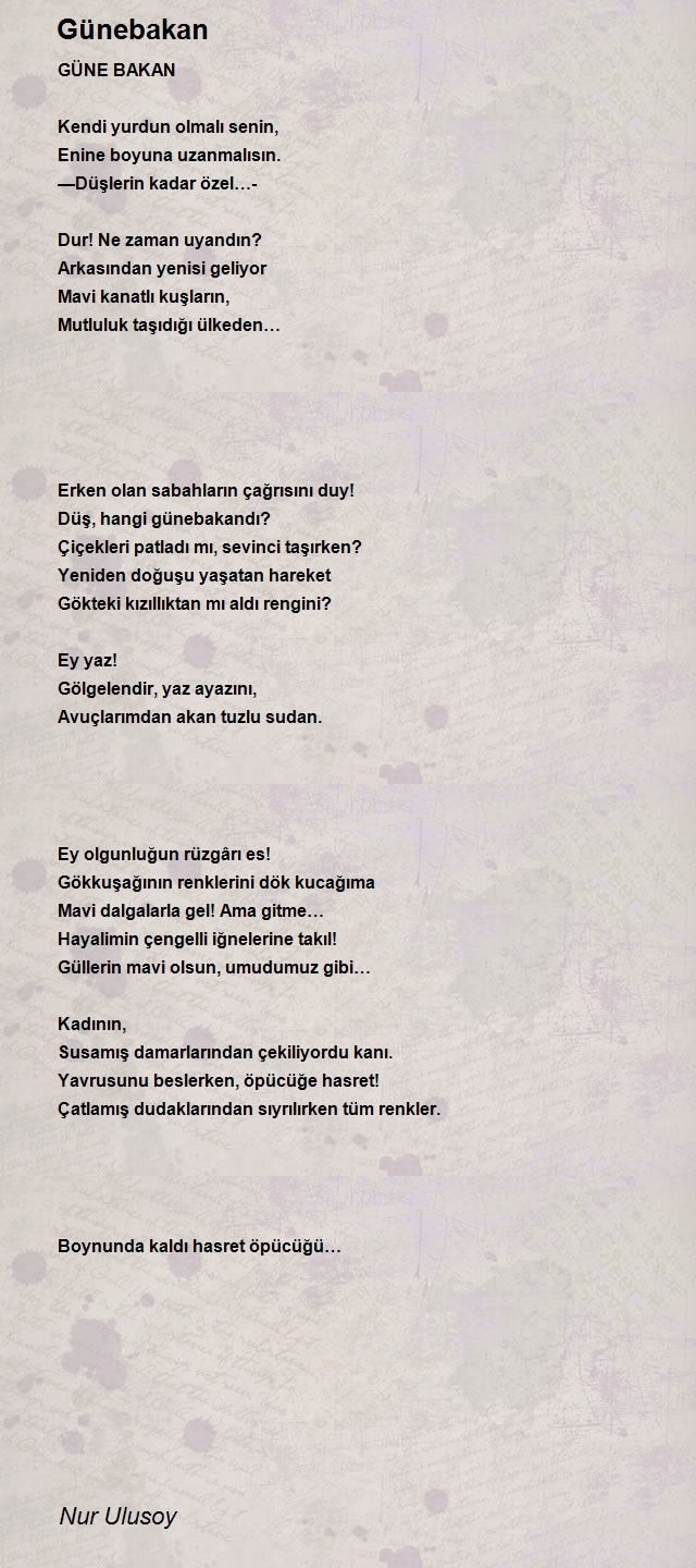 Nur Ulusoy
