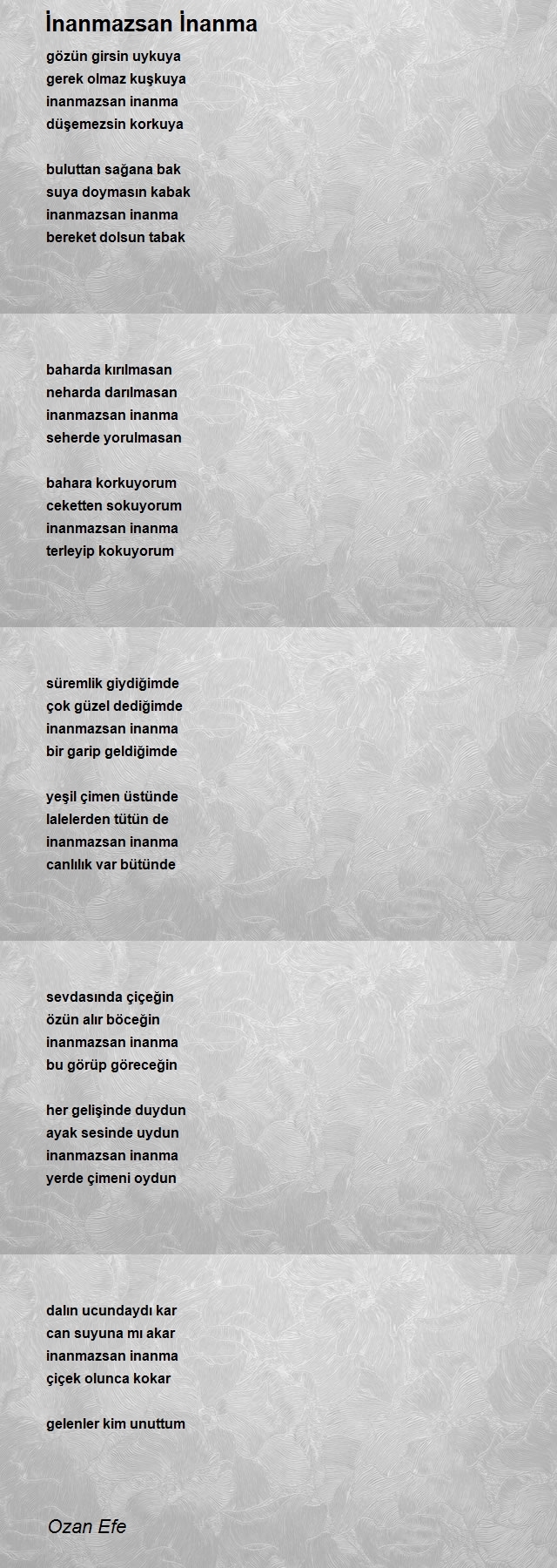 Ozan Efe