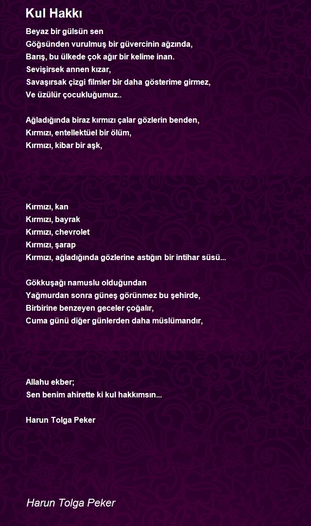 Harun Tolga Peker