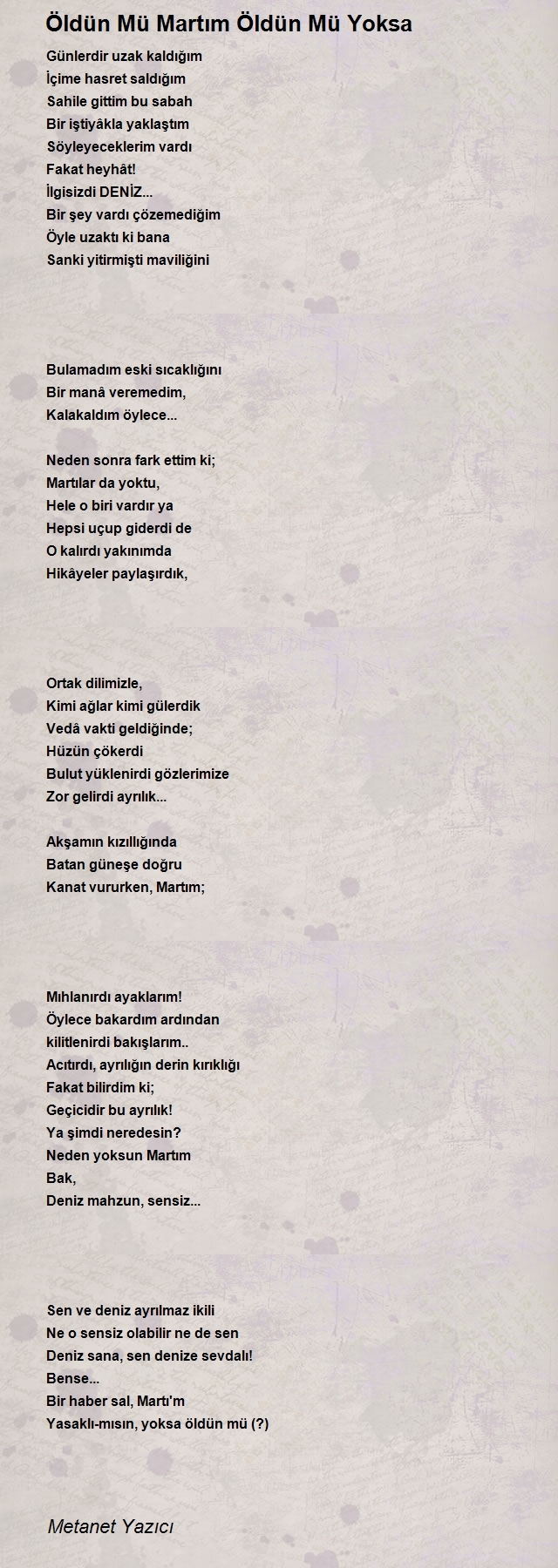 Metanet Yazıcı