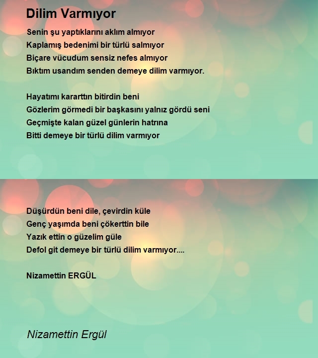 Nizamettin Ergül