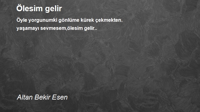 Altan Bekir Esen