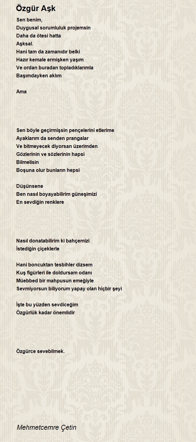 Mehmetcemre Çetin