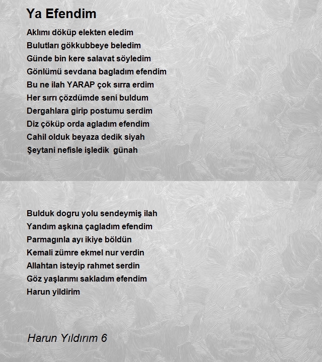 Harun Yıldırım 6