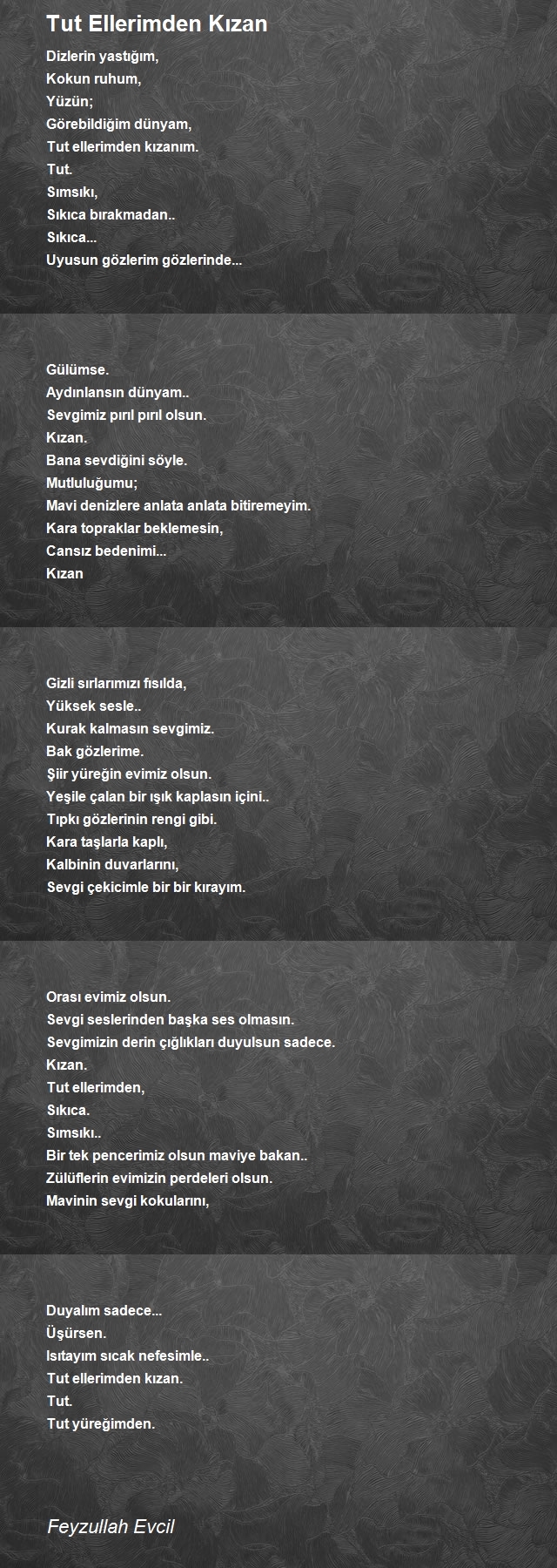 Feyzullah Evcil