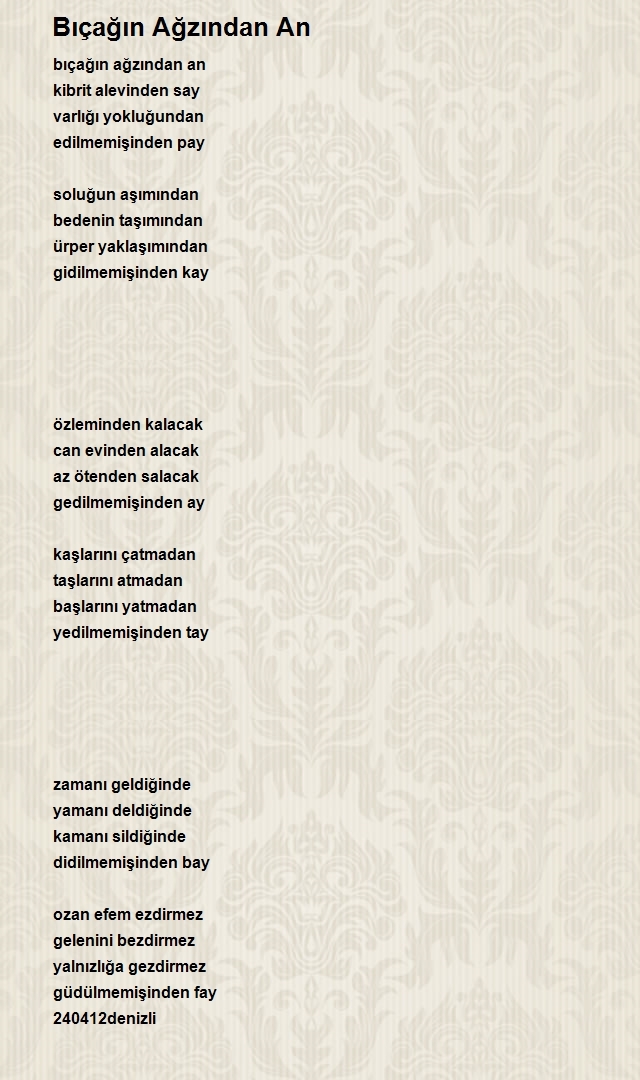 Ozan Efe