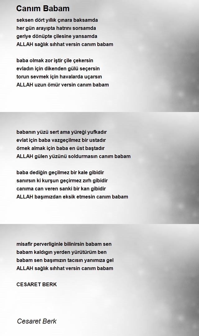 Cesaret Berk
