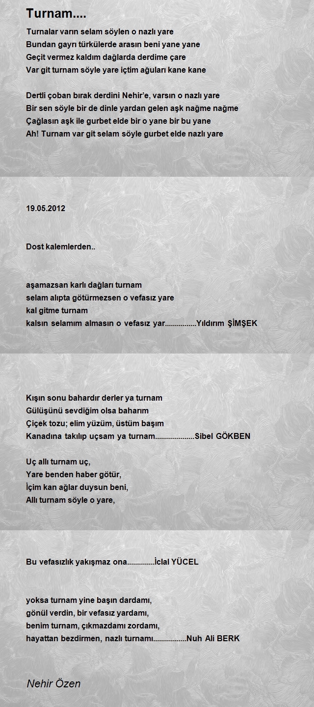 Nehir Özen