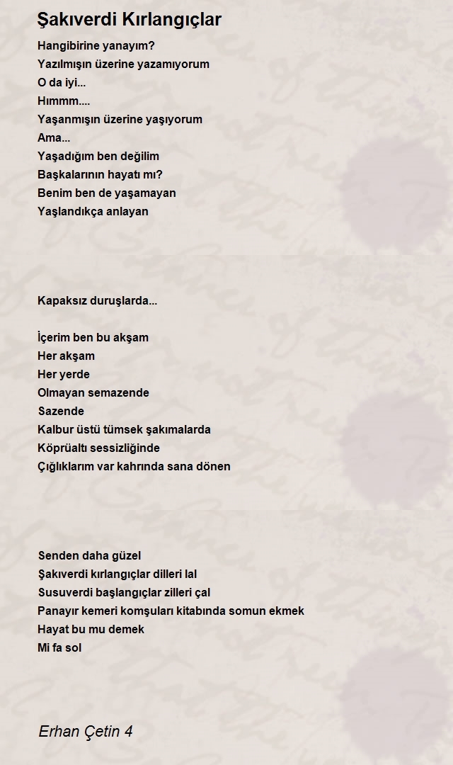 Erhan Çetin 4
