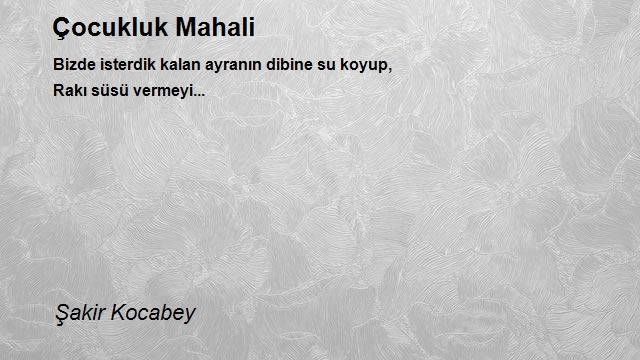 Şakir Kocabey