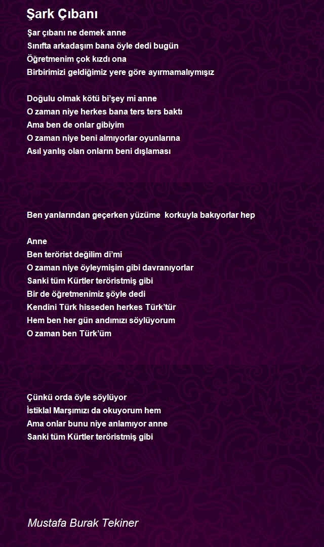 Mustafa Burak Tekiner