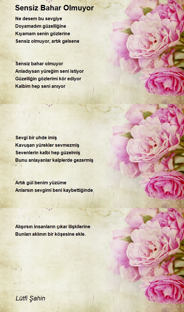 Lütfi Şahin
