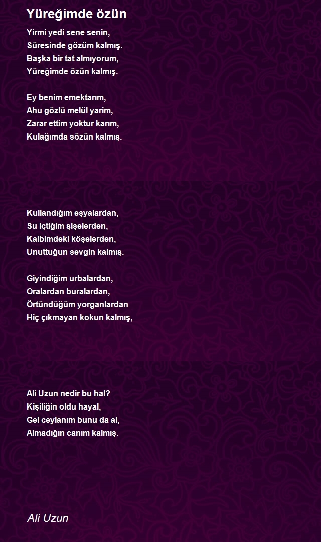 Ali Uzun