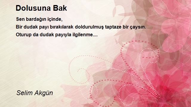 Selim Akgün