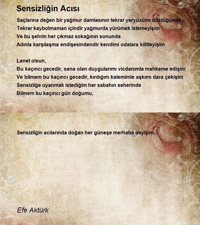 Efe Aktürk