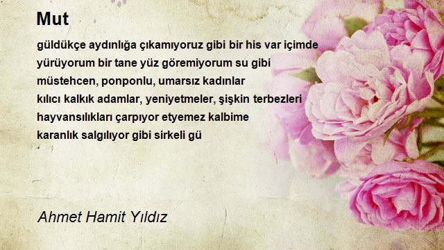 Ahmet Hamit Yıldız