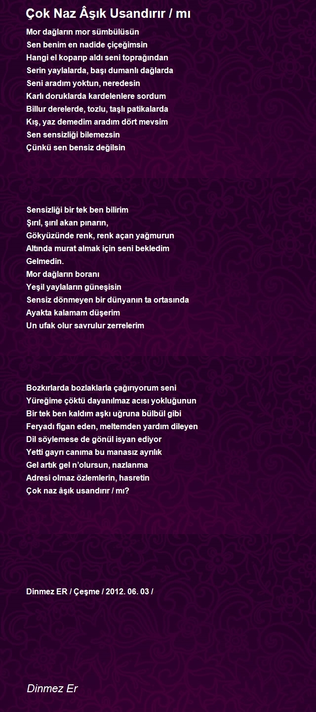 Dinmez Er
