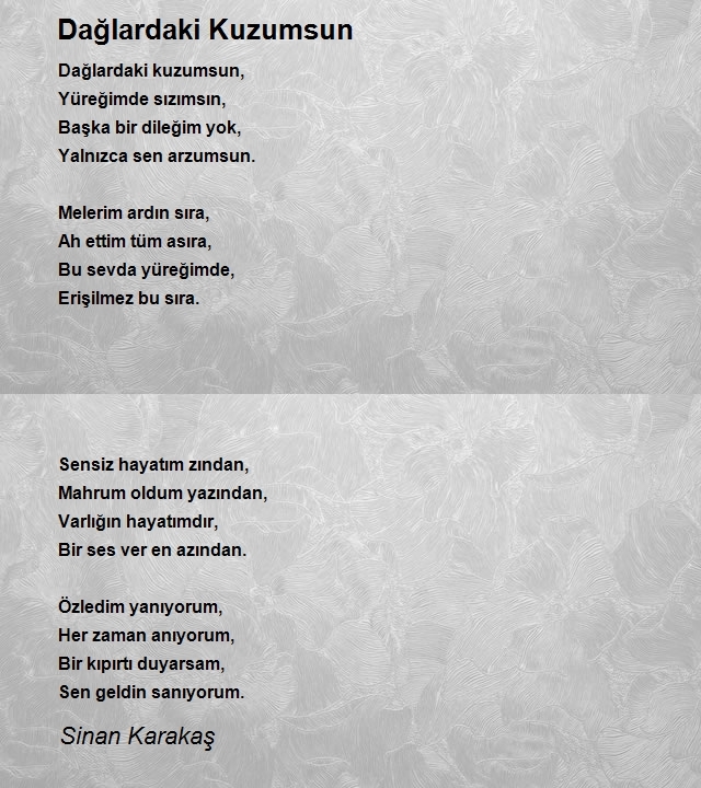 Sinan Karakaş