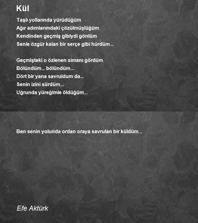 Efe Aktürk