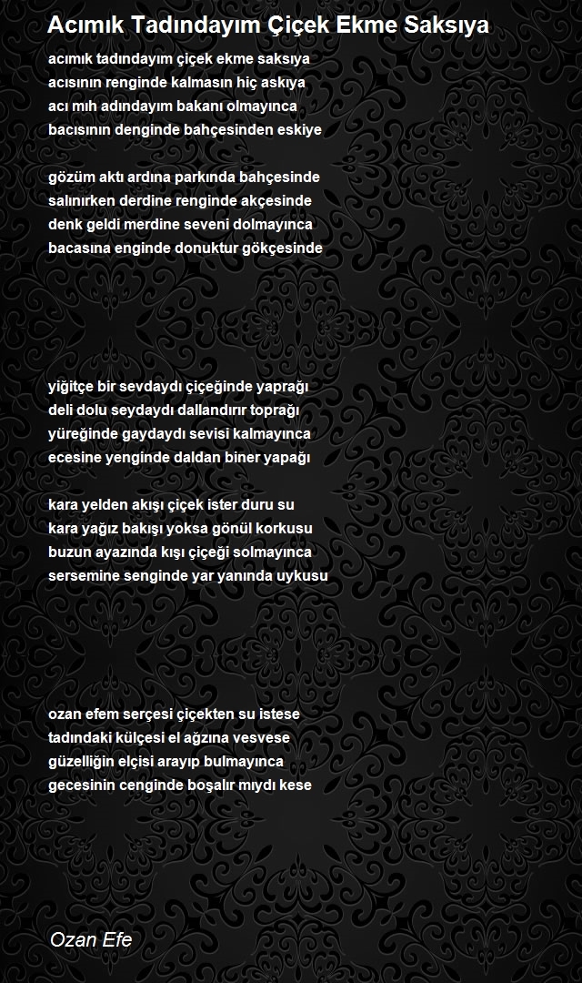 Ozan Efe