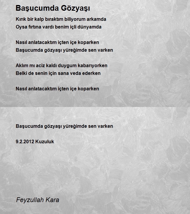 Feyzullah Kara