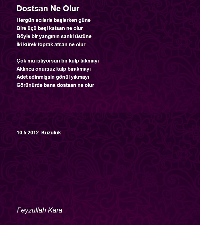 Feyzullah Kara