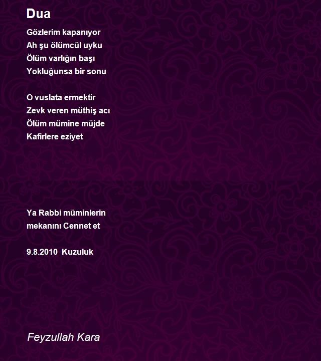 Feyzullah Kara