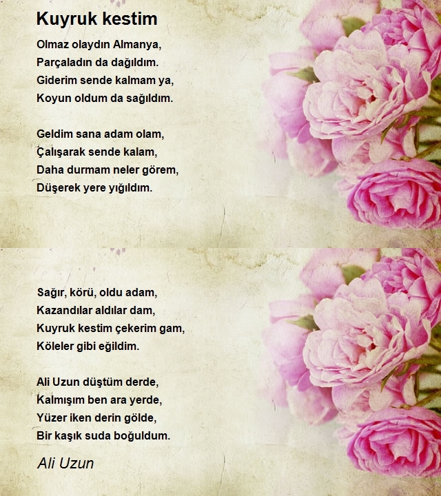Ali Uzun