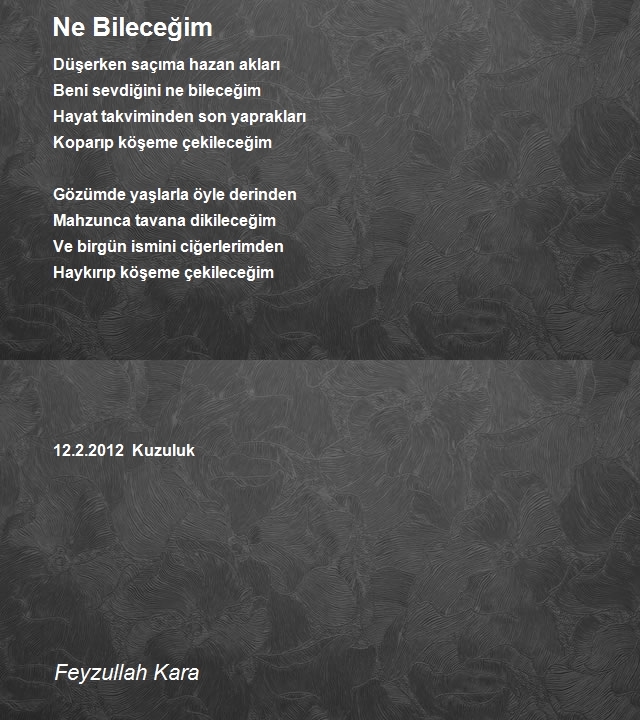 Feyzullah Kara