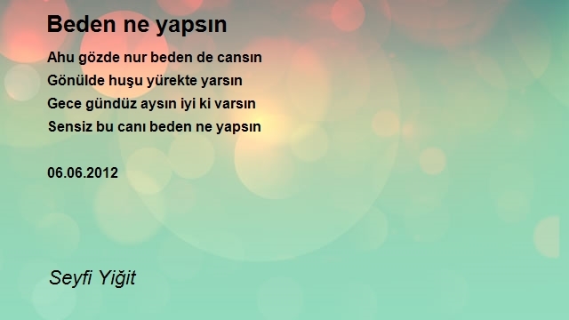 Seyfi Yiğit