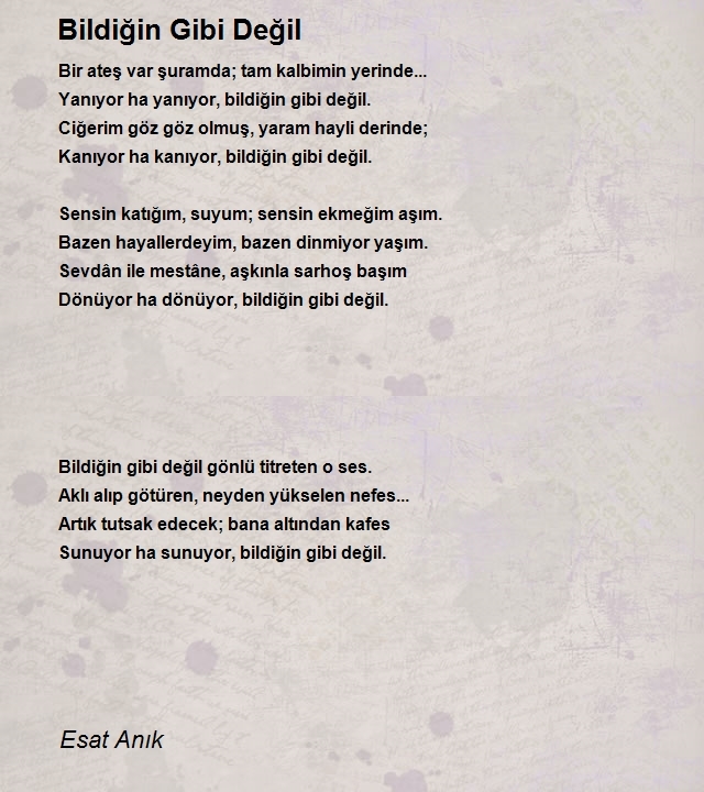 Esat Anık