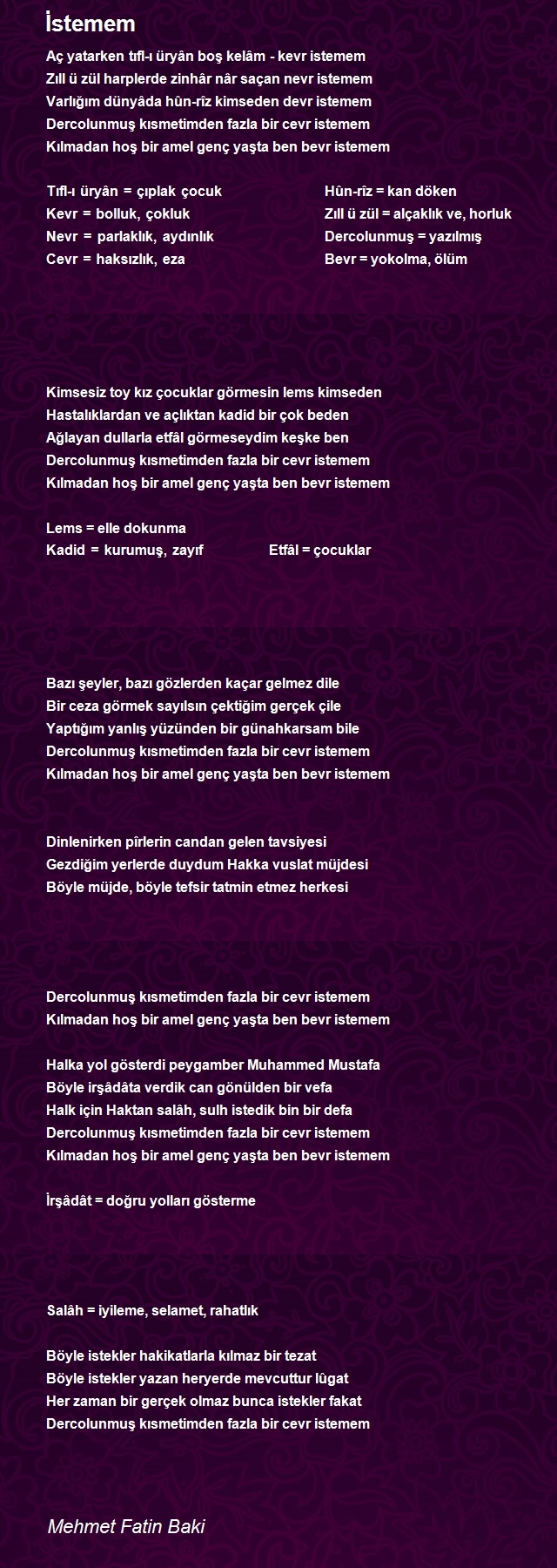 Mehmet Fatin Baki