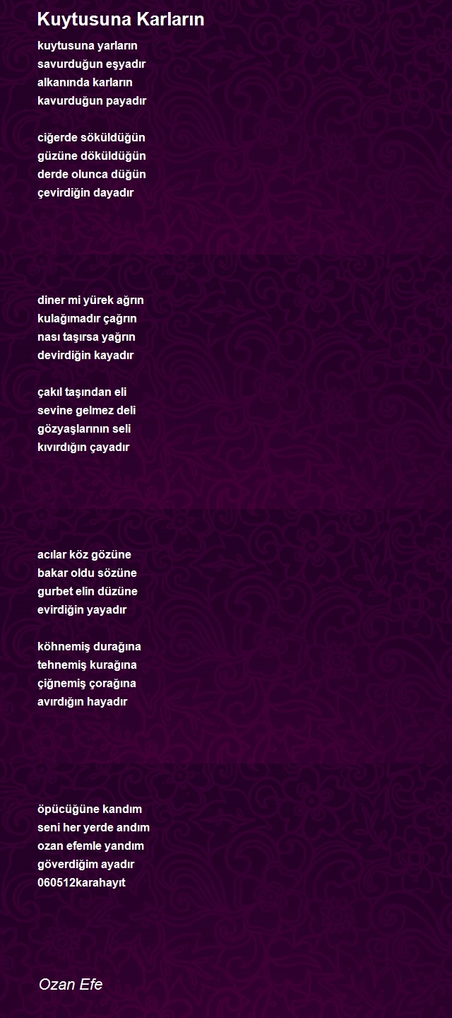 Ozan Efe