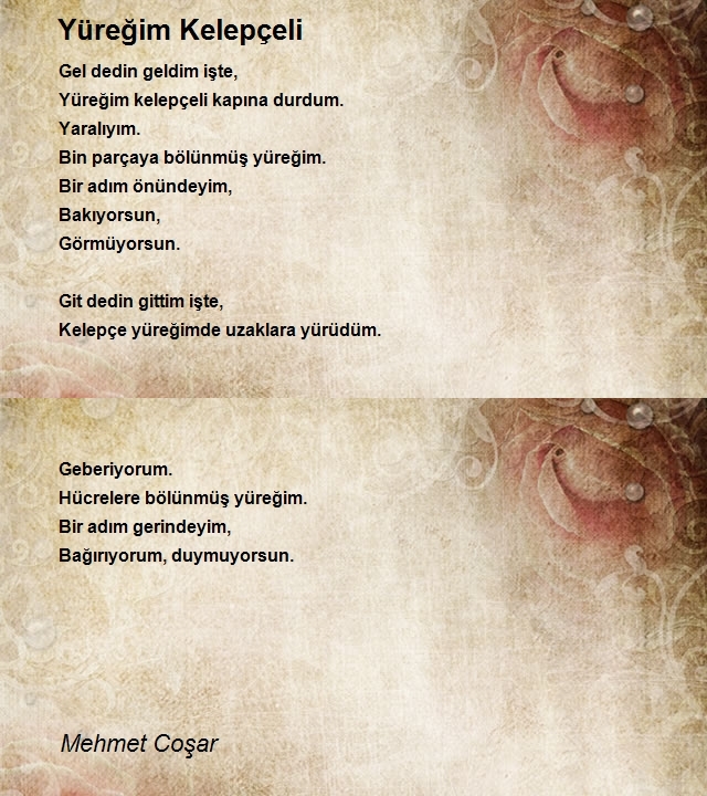 Mehmet Coşar