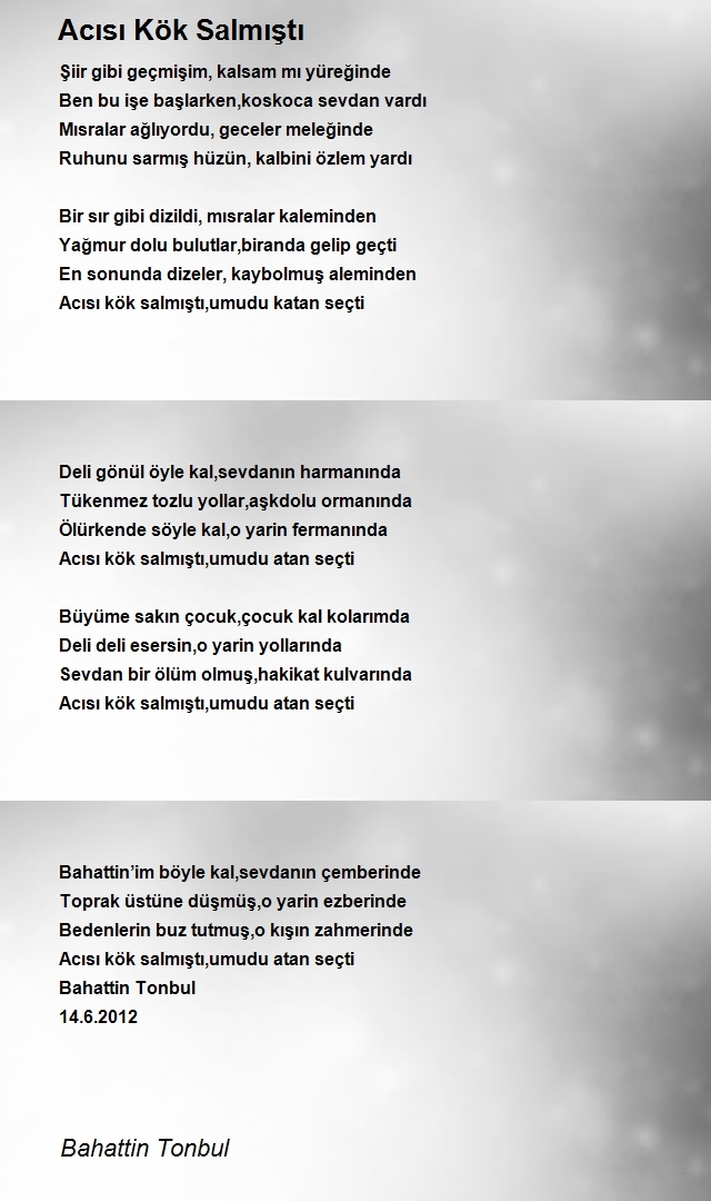 Bahattin Tonbul