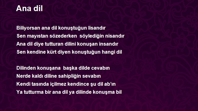 Metin Şaşmaz