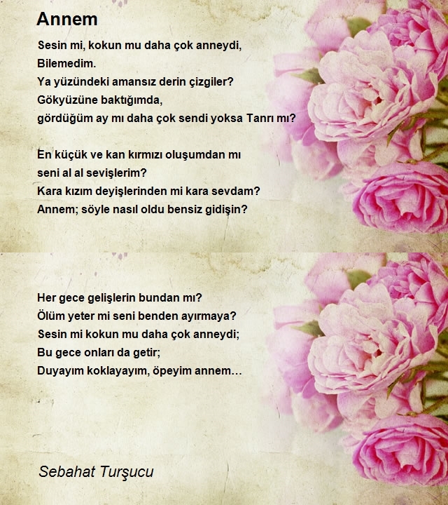 Sebahat Turşucu