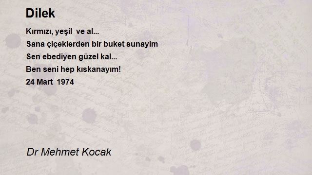 Dr Mehmet Kocak