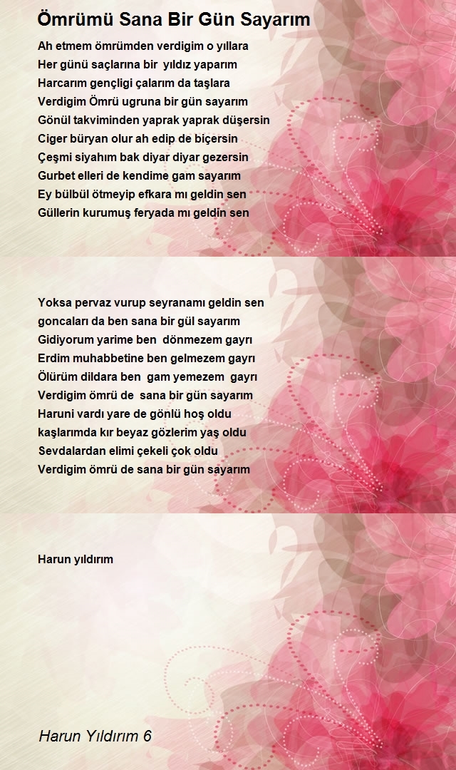 Harun Yıldırım 6