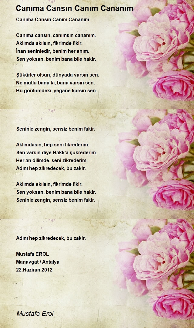 Mustafa Erol