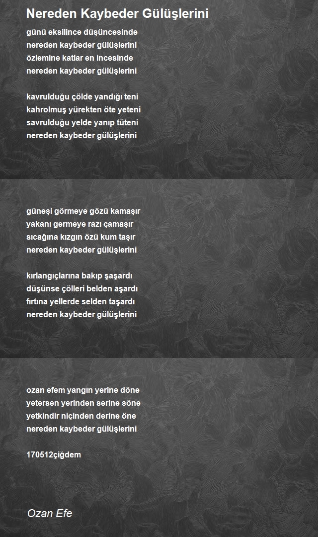 Ozan Efe