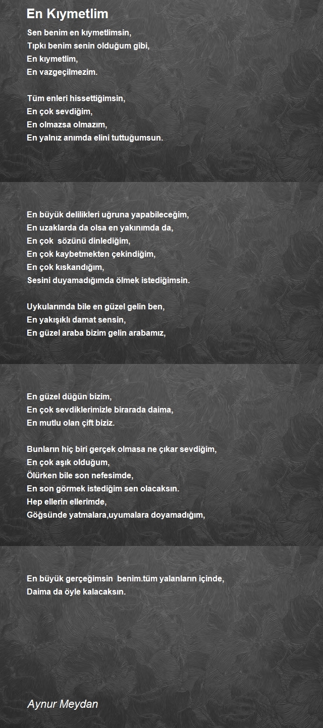 Aynur Meydan
