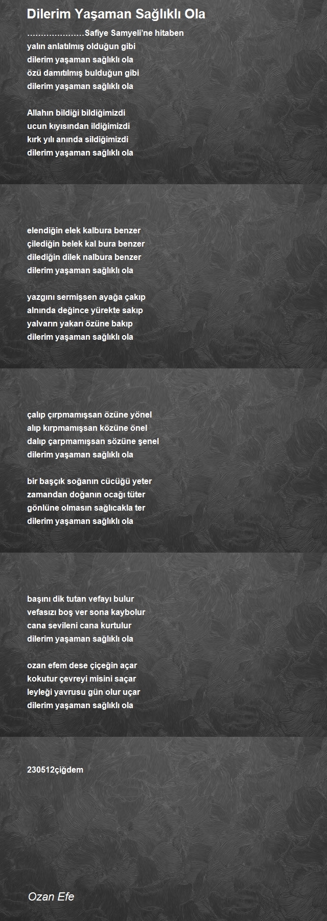 Ozan Efe