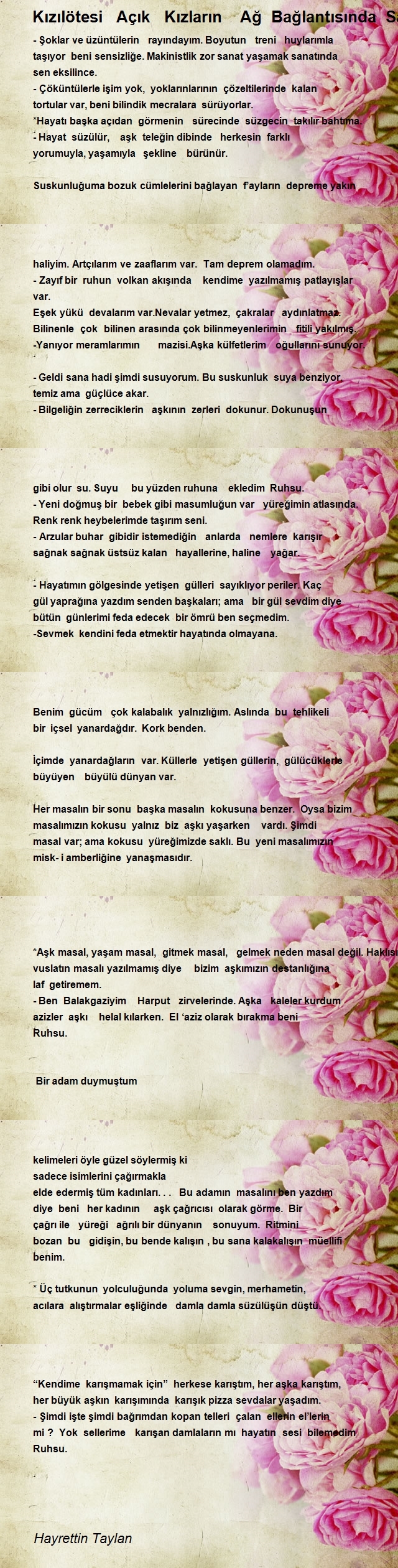 Hayrettin Taylan