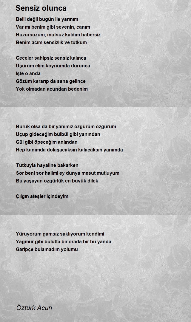 Öztürk Acun