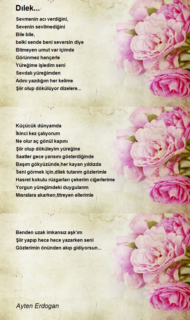 Erdogan Ayten