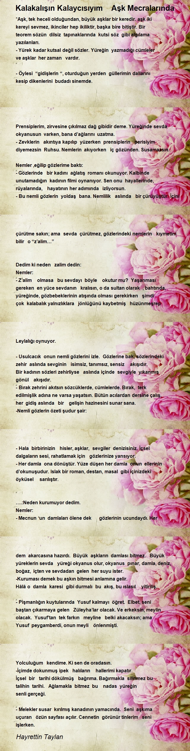 Hayrettin Taylan